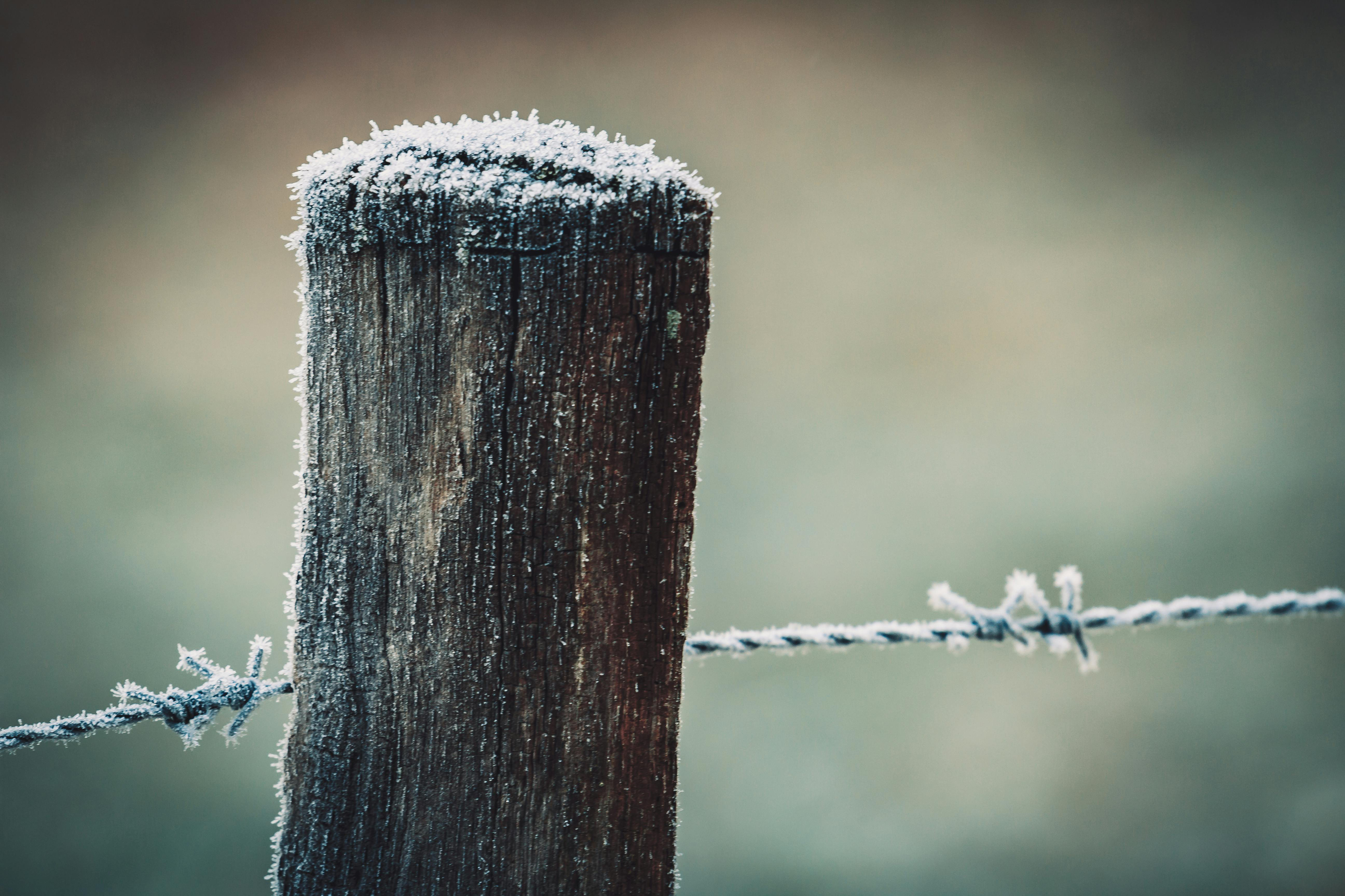 Frosty Fencepost, my name proposal for Ubuntu 50.04